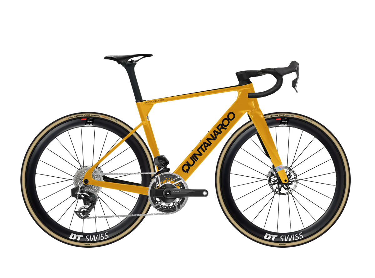 Studio NEXT Service Course