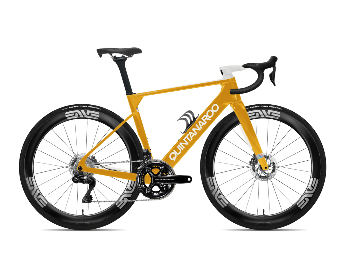 Studio NEXT Service Course Tri