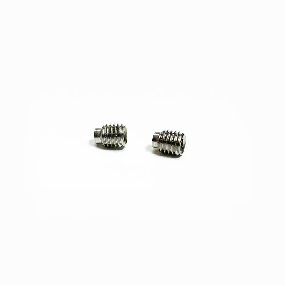 Seatpost Screws (set of 2) | PRseries